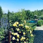 Rostagni 1834 In With Pool In The Barolo Region * Novello