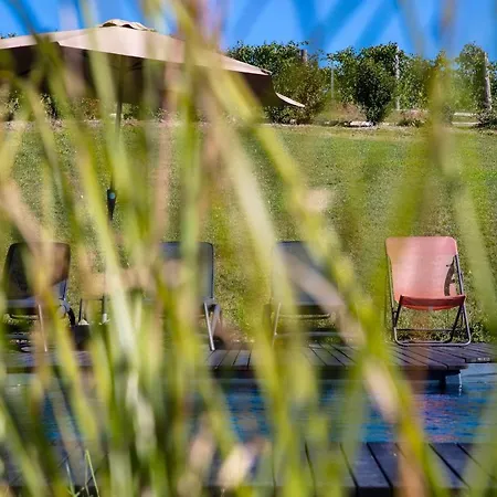 Rostagni 1834 In With Pool In The Barolo Region 诺韦洛