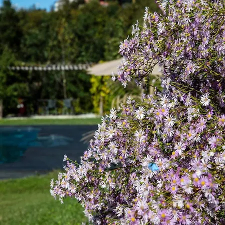 Rostagni 1834 In With Pool In The Barolo Region