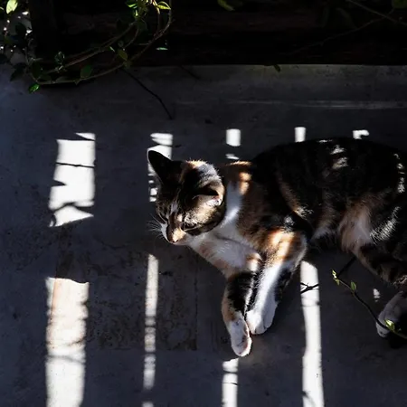 Rostagni 1834 In With Pool In The Barolo Region * 诺韦洛