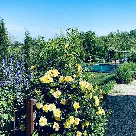 Rostagni 1834 In With Pool In The Barolo Region * Novello